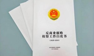 大厂反腐，刑上总裁